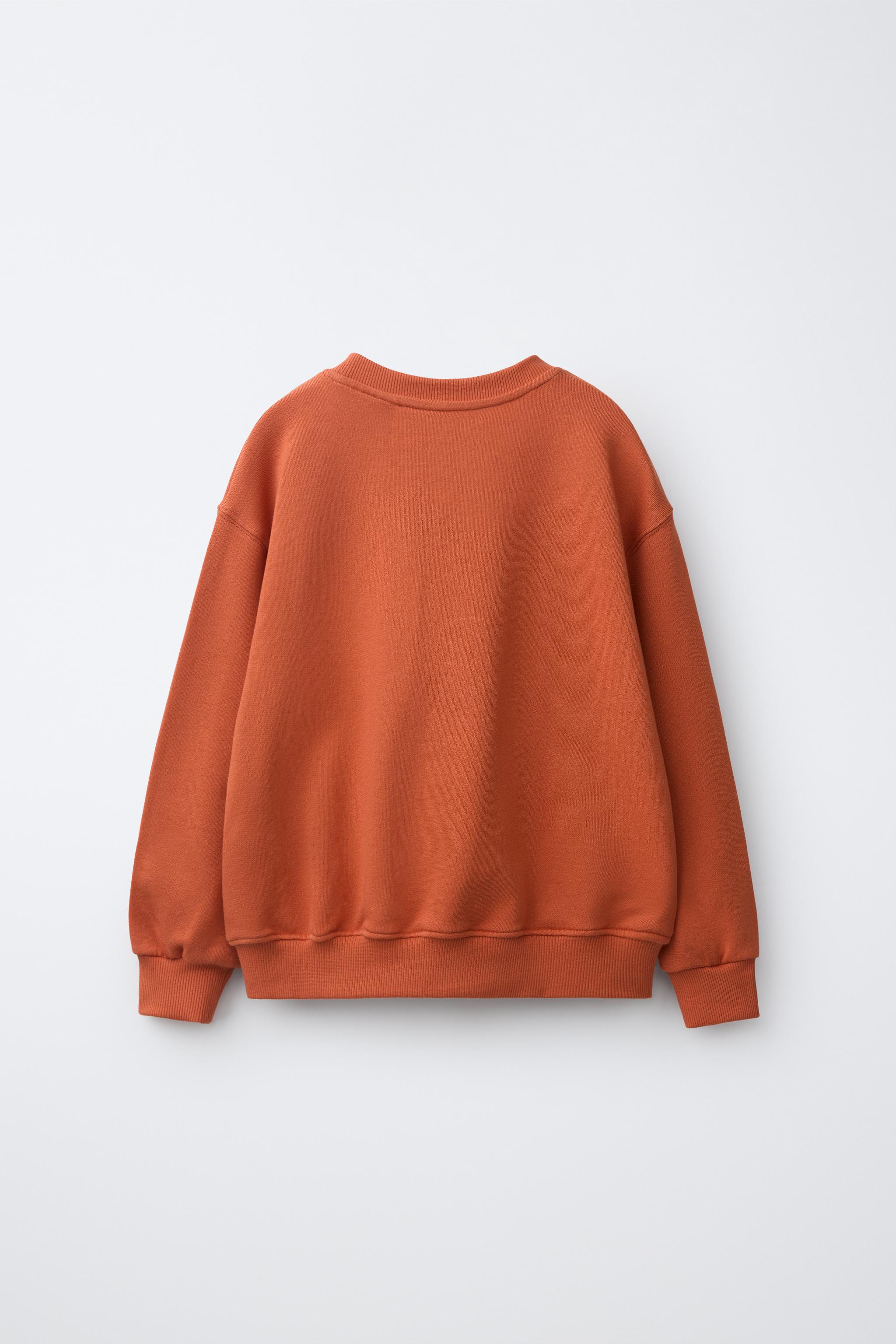 Детские худи Zara GATORS UNIVERSITY OF FLORIDA ® GRAPHIC SWEATSHIRT — фото 3
