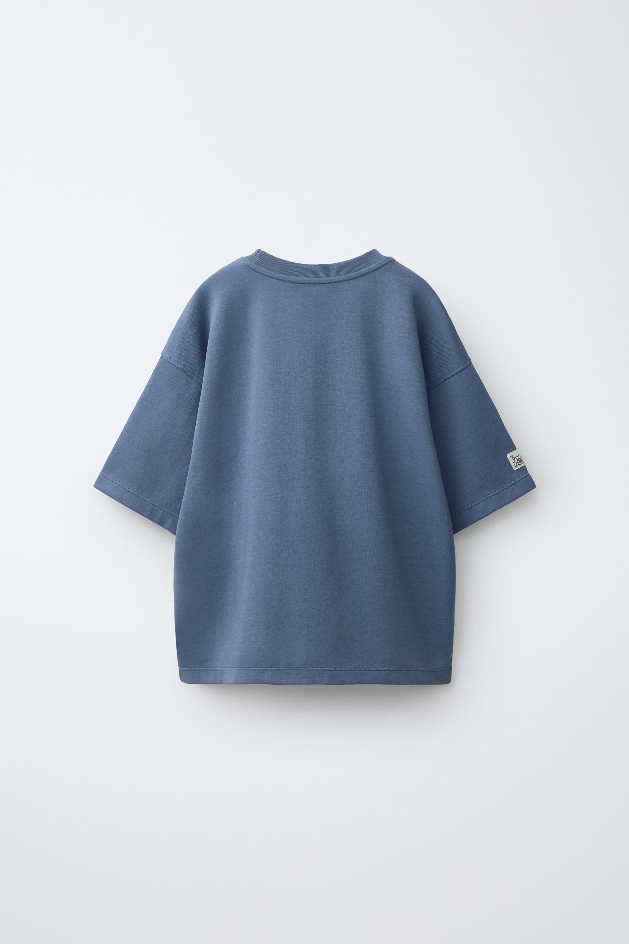 EMBROIDERED INTERLOCK T-SHIRT - Pastel blue | ZARA United States