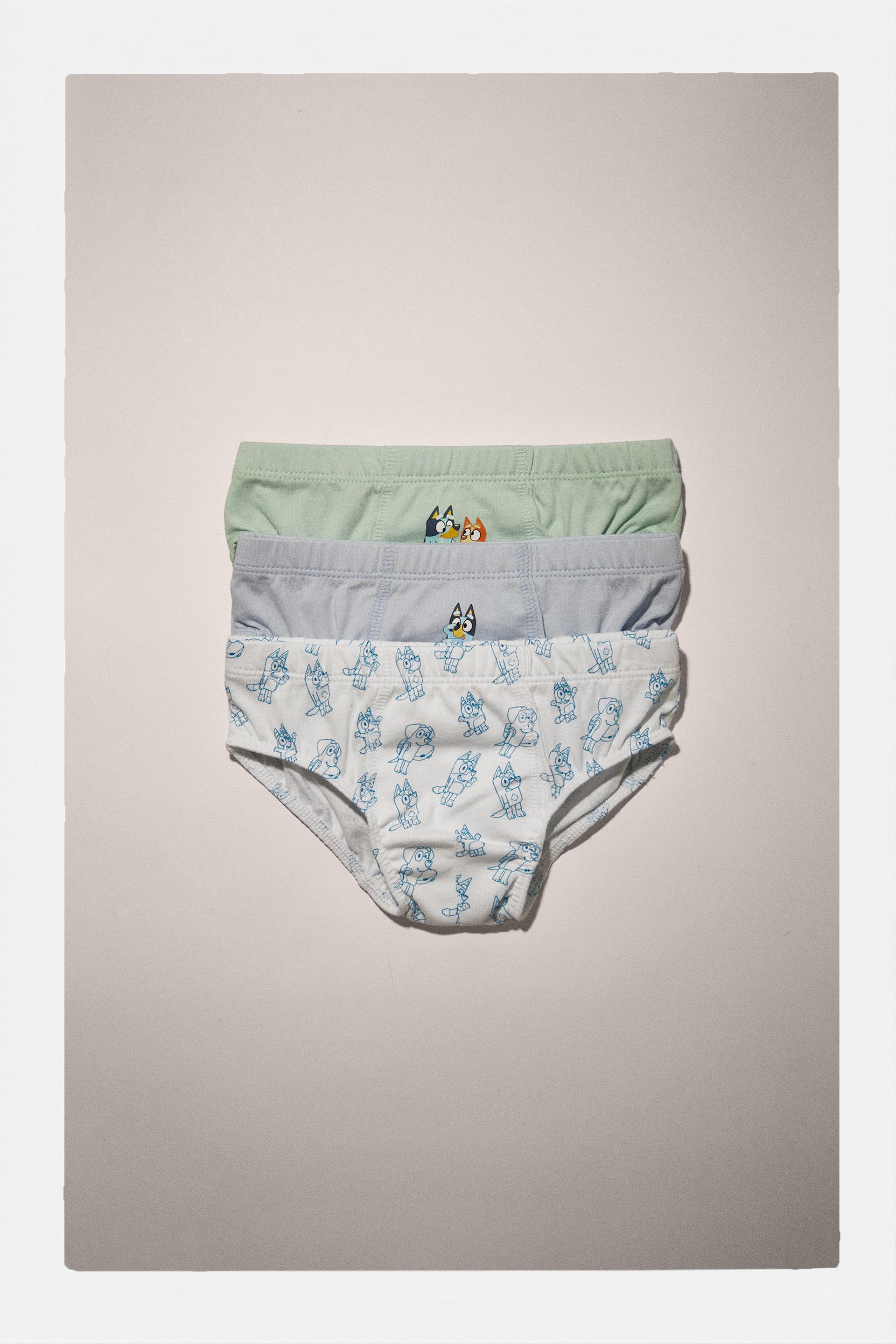 2 PACK BLUEY BINGO UNDERWEAR ~ Kids Boys Boxer Trunks Underpants Briefs