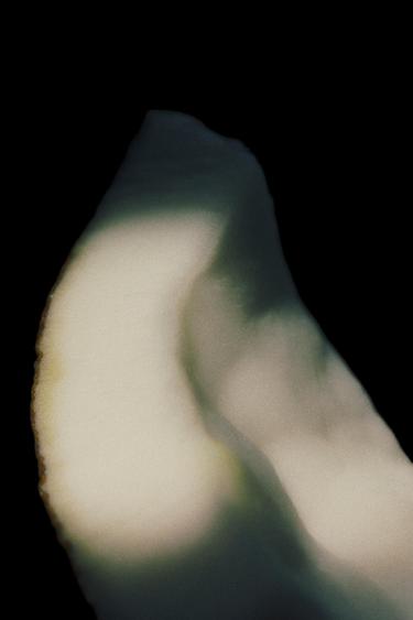 IMMORTAL VANILLA EDP 80ML (2.72 FL. OZ). -  von Zara - Bild 0