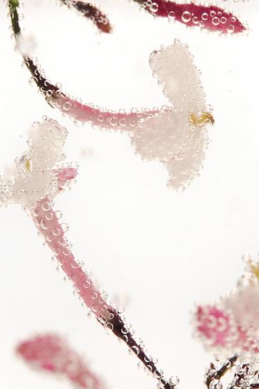 SOLAR SUMMER SKIN HAIR & BODY MIST 150ML - TINTED LEATHER by Zara - Image 1