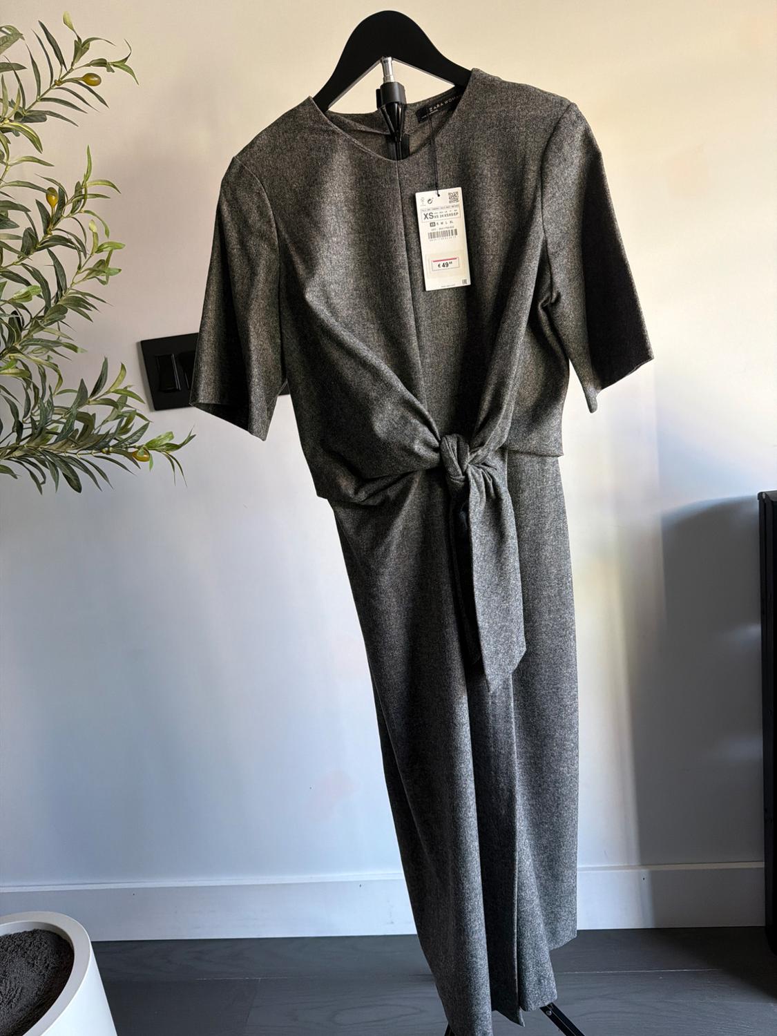Short-sleeve gray dress with a knot at the waist, hanging on a black hanger. Visible tag with a price of 49.99. Decorative plant in the background.