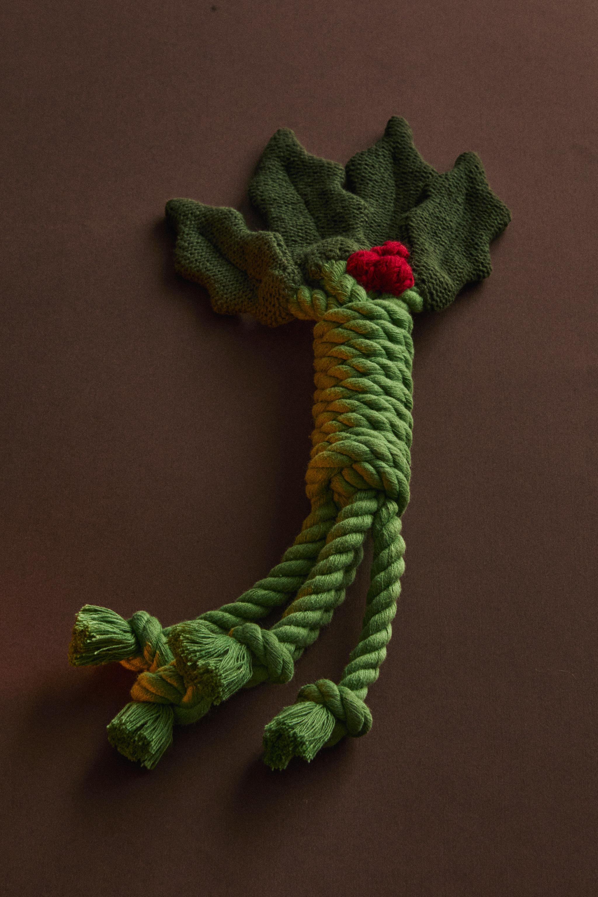 CHRISTMAS MISTLETOE PET TOY