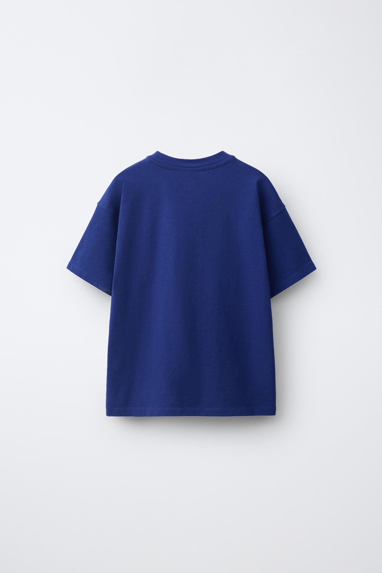 0FR. PARIS X ZARA PRINTED T-SHIRT — Bluish