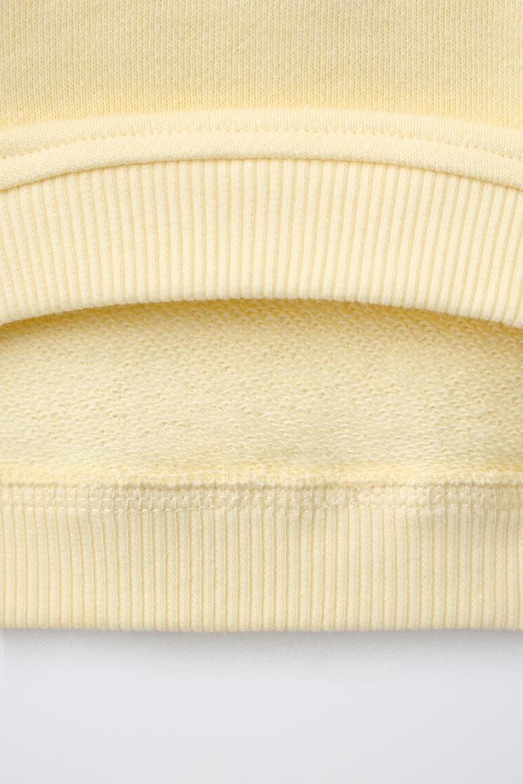 Sudadera bordada 6