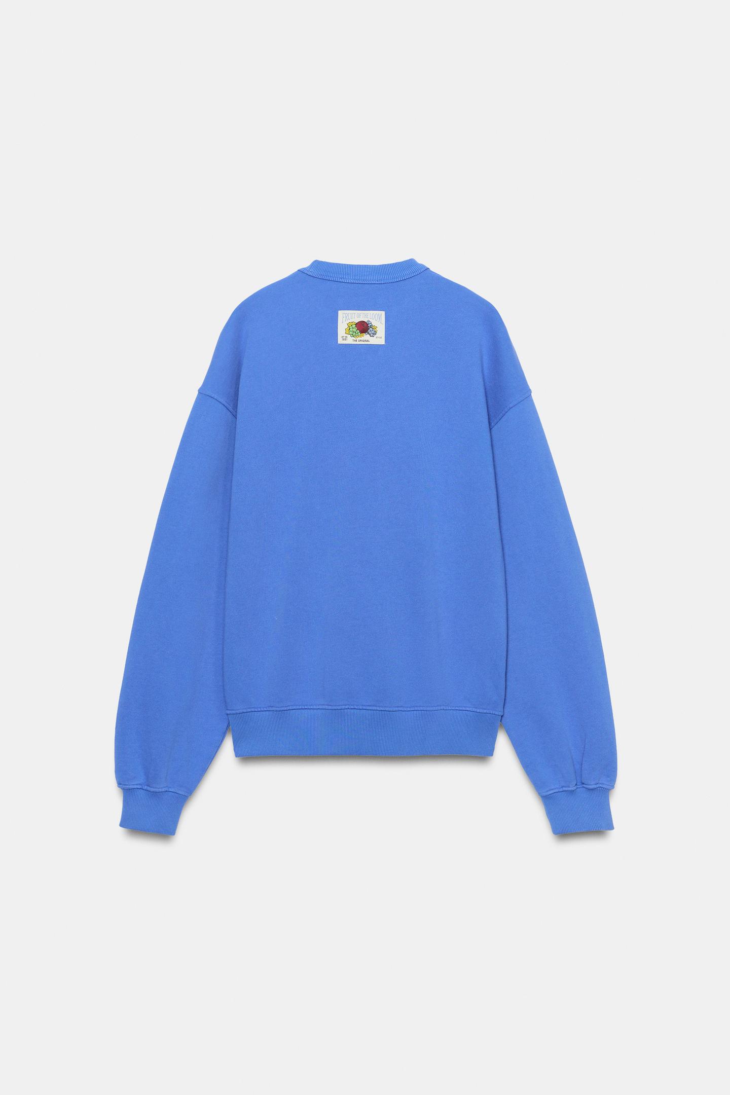 Женская толстовка Zara Fruit OF the Loom™ Washed, цвет: Голубоватый — фото 3