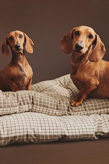 SUR-MATELAS CARREAUX ANIMAUX DE COMPAGNIE - Vert de Zara - Image 6