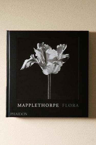 ROBERT MAPPLETHORPE BOOK - Black by Zara - Image 5