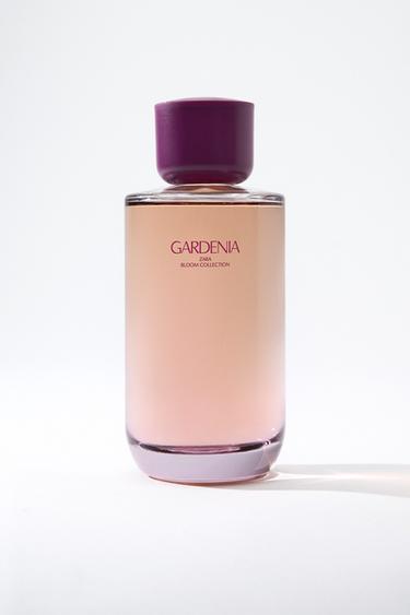 Zara GARDENIA EDP 180 ML (6.08 FL. OZ) - TINTED LEATHER
