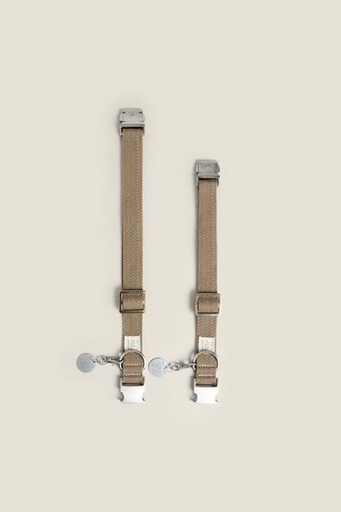 COLOURED DOG COLLAR - Khaki by Zara - Image 3