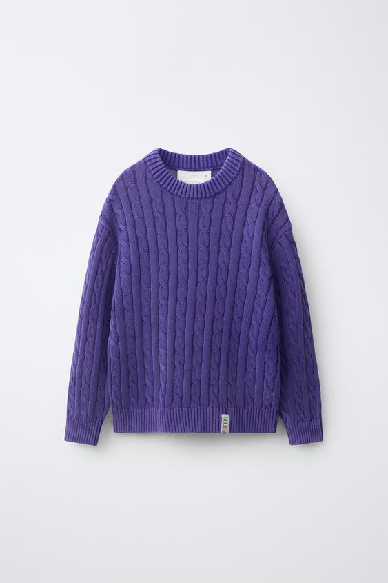 FRUIT OF THE LOOM™ CABLE-KNIT JUMPER - Purple by Zara - Image 0