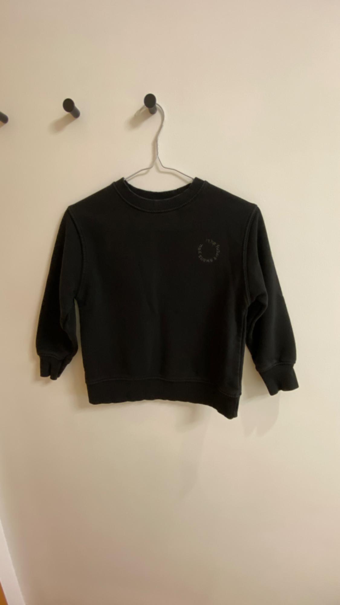 Black long-sleeved sweatshirt hanging on a hanger against a white wall. Visible text: "THE ANIMALS OBSERVATORY".