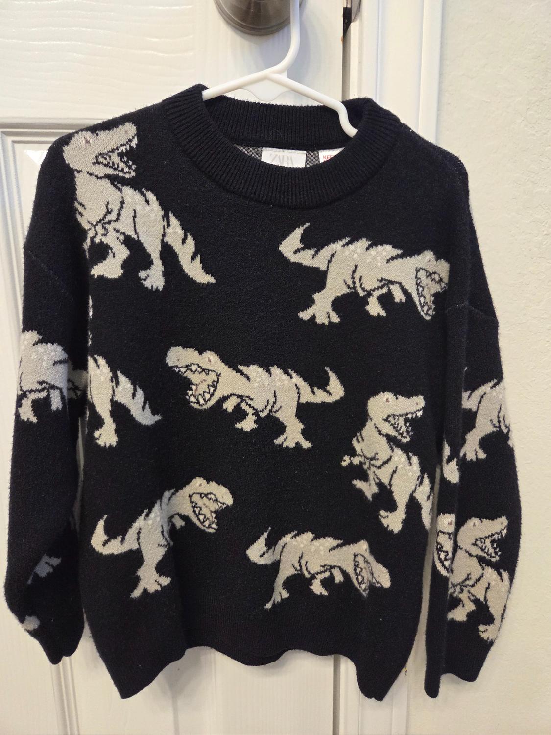 Black jumper with white dinosaur print, hanging on a white hanger in front of a white door.