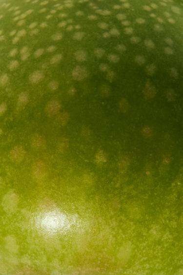 APPLEJUICE EDT 90ML / 3.04 oz -  by Zara - Image 2