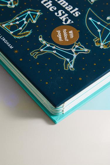ANIMALS IN THE SKY CHILDREN'S BOOK - Multicoloured by Zara - Image 1