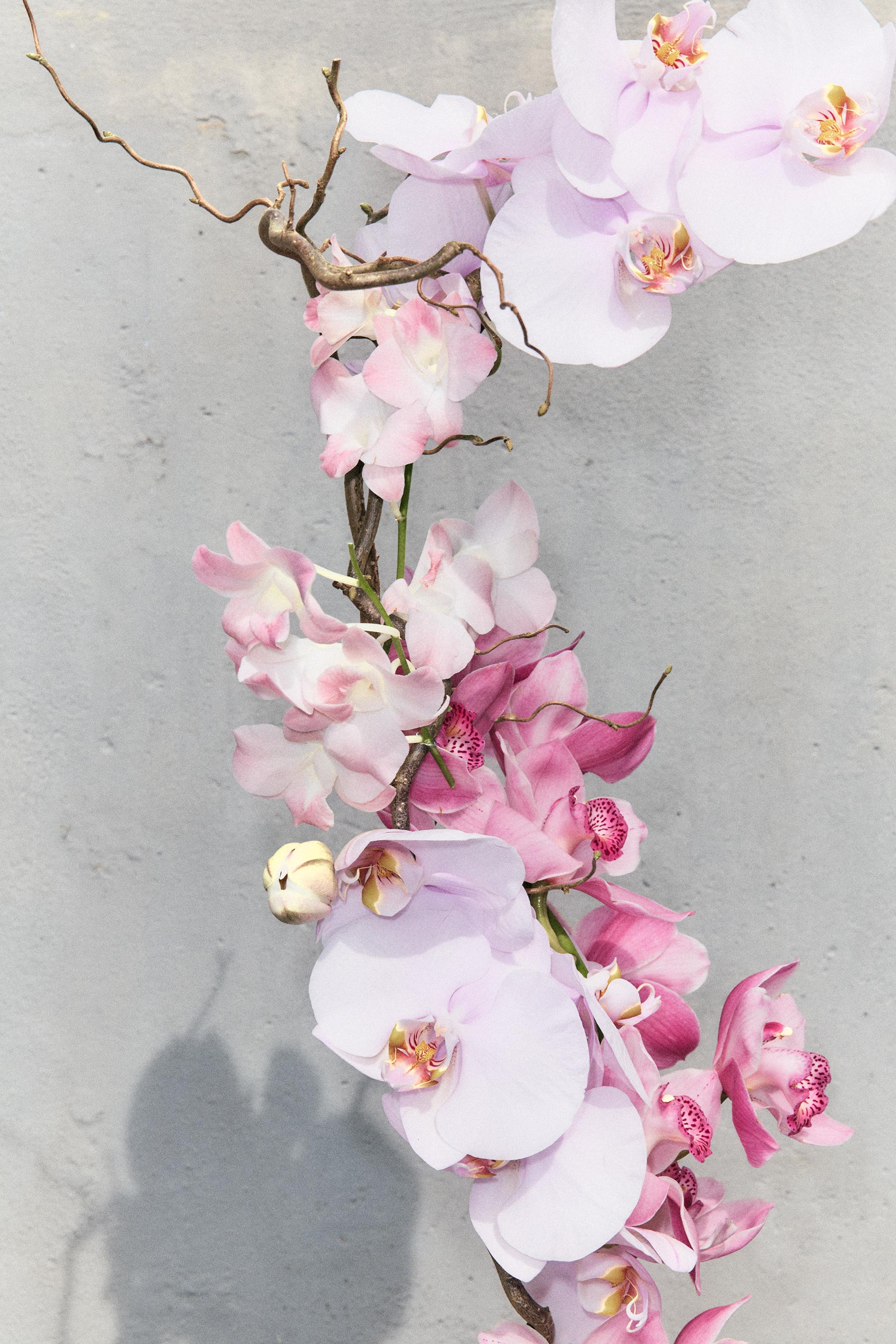 ORCHID EDP 180ML (6.08 FL. OZ).