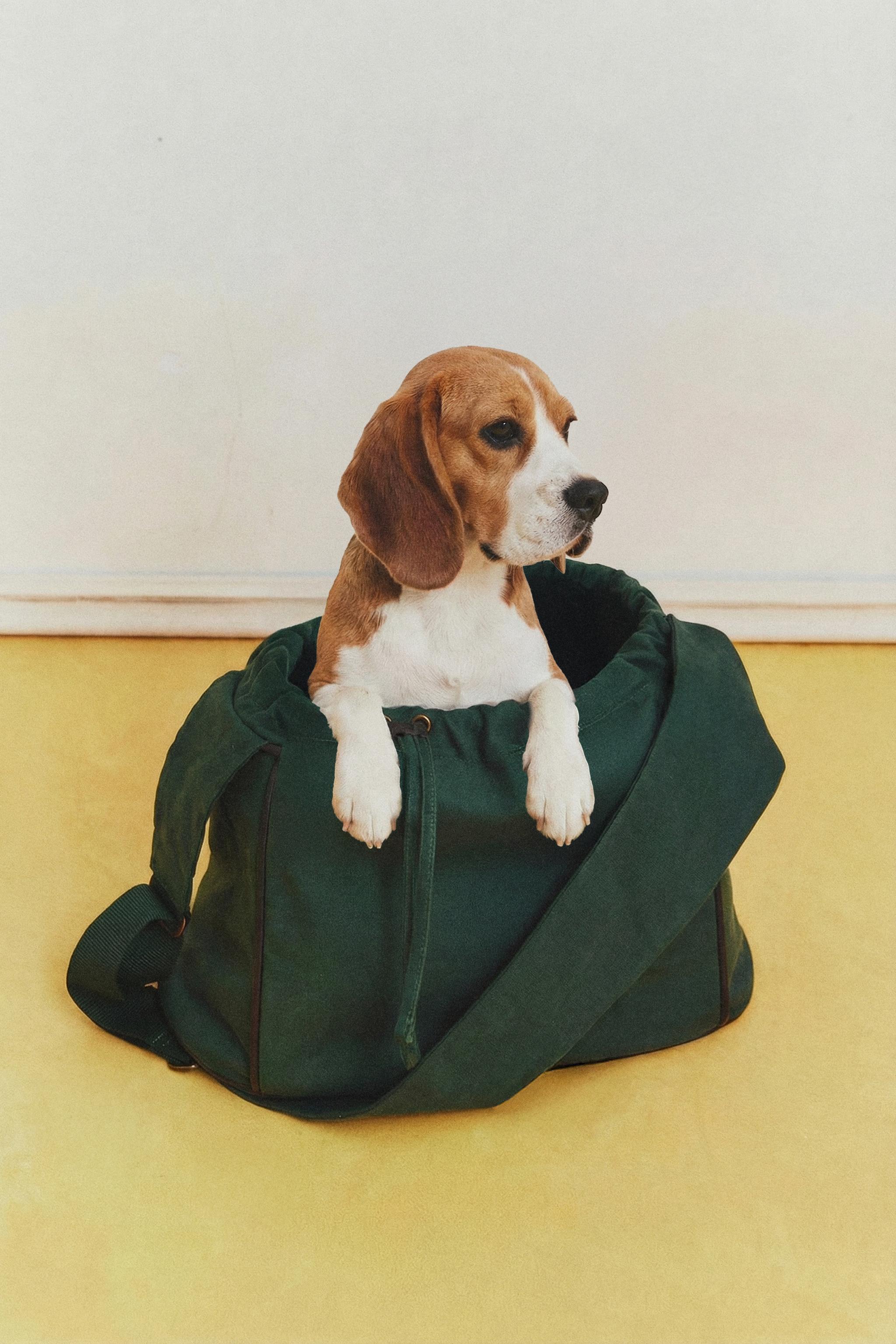 SAC DE TRANSPORT EN COTON POUR ANIMAUX