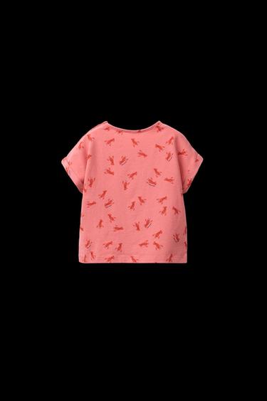 LOBSTER PRINT T-SHIRT - Red by Zara
