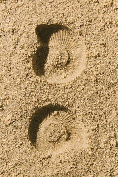 CRÈME BRONZANTE PROGRESSIVE COCOA SUNSET 100 ML - prêt à teindre de Zara - Image 3