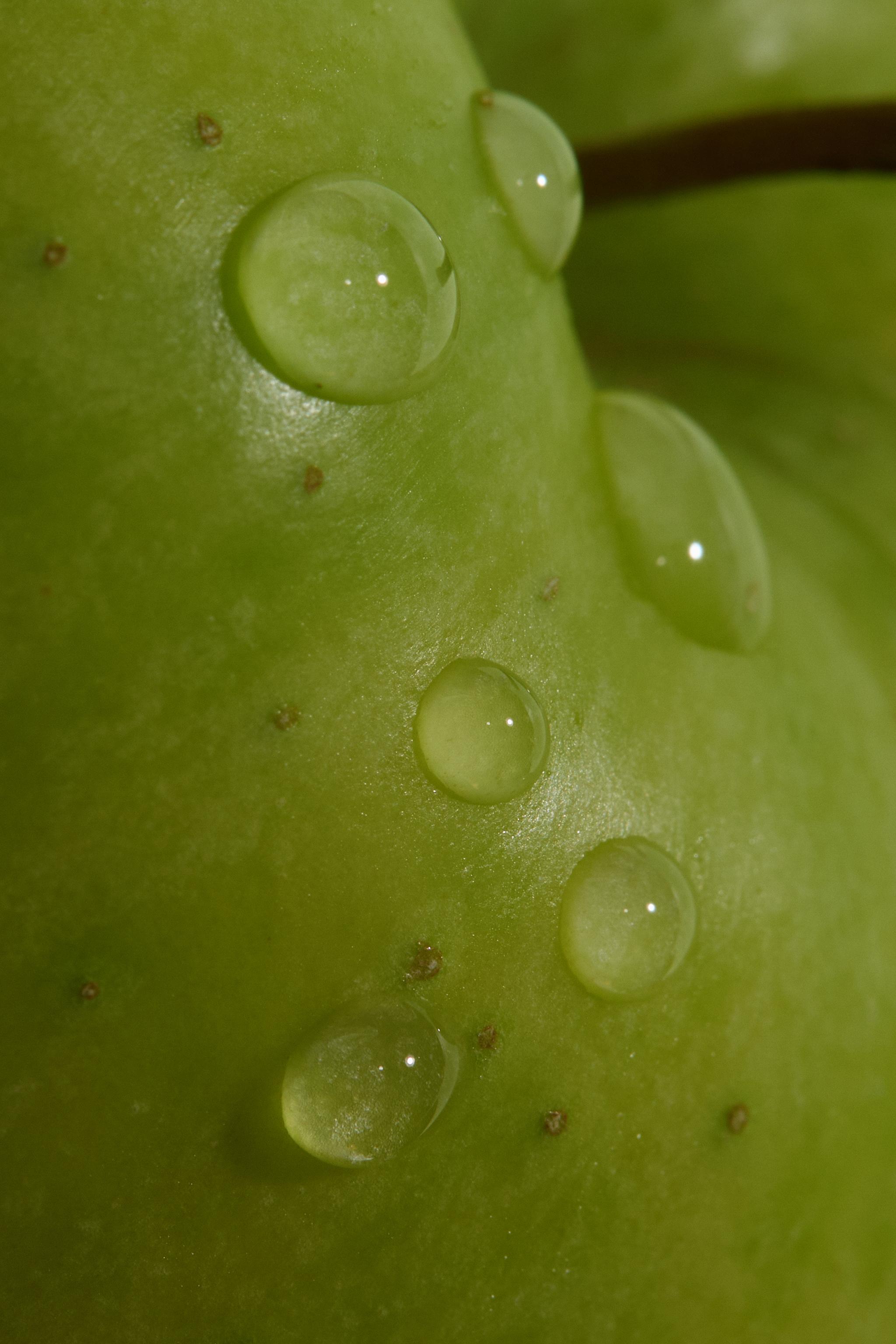 Орхидея edp и яблочный сок edt 2x30ml