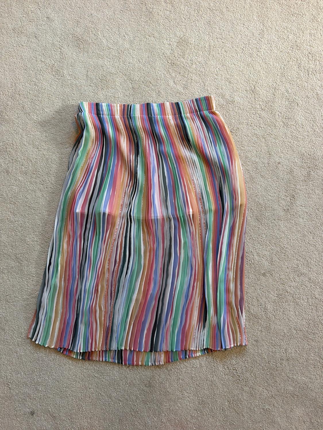 Semi-sheer pleated skirt with multicoloured vertical stripes, laid out on a beige carpet.