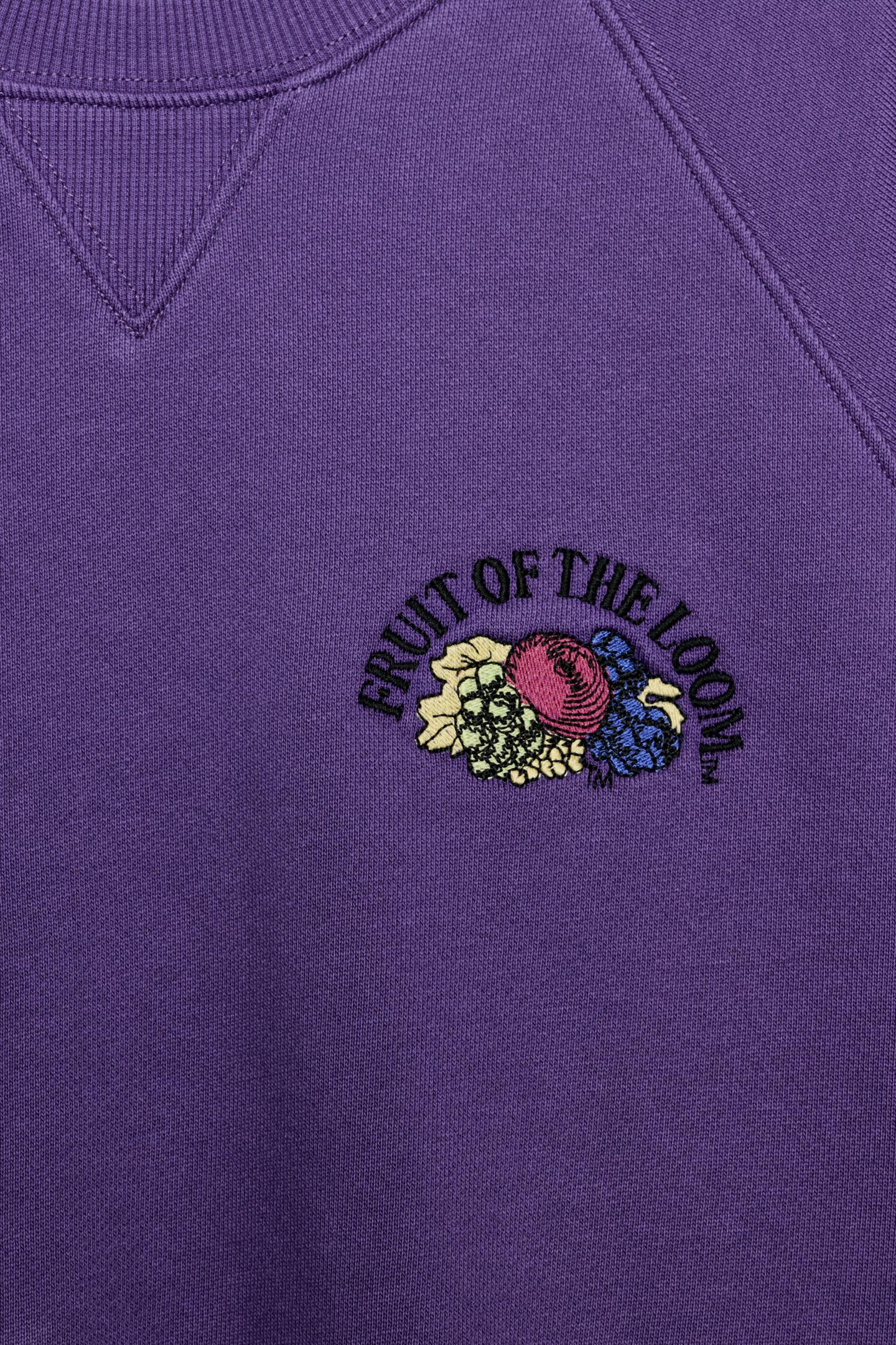 Женская толстовка Zara Fruit OF the Loom™ Washed, цвет: Розовато-лиловый — фото 4
