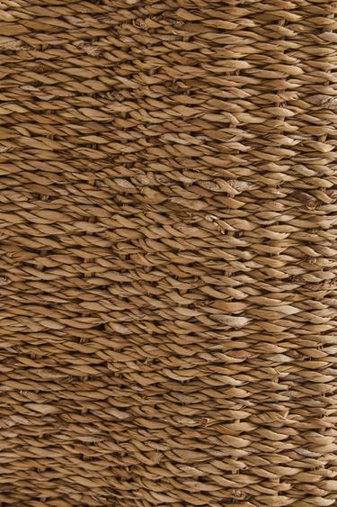 BONE PET BASKET - Beige by Zara - Image 3