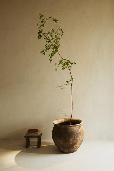 CERAMIC POT PLANTER - Earth by Zara - Image 5