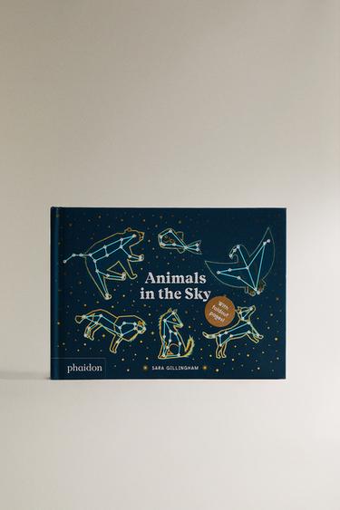 ANIMALS IN THE SKY CHILDREN'S BOOK - Multicoloured by Zara