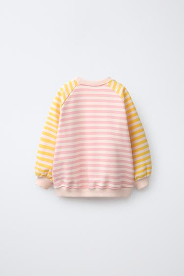 SWEAT MANCHES RAGLAN BRODÉ - Rayures de Zara - Image 1