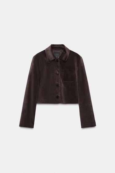 BLAZERRA, CROP, BELUSA - Marroi grisa, Zara-rena