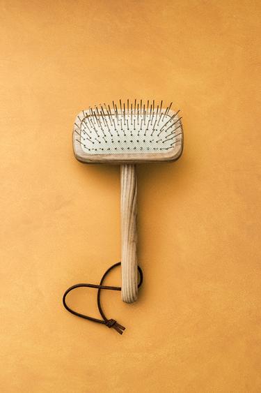 PET BRUSH - Light beige by Zara - Image 5