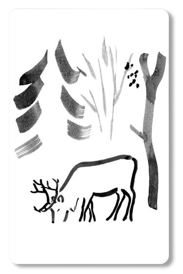 E-GIFT CARD (VIRTUEEL) - BEPERKTE OPLAGE - Wit van Zara