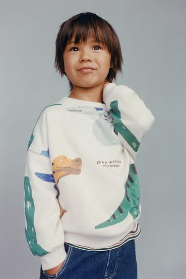SWEATSHIRT MIT DINOSAURIER-PRINT - Eis von Zara
