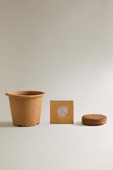 JACARANDA SEED GROWING KIT - Brown by Zara - Image 1