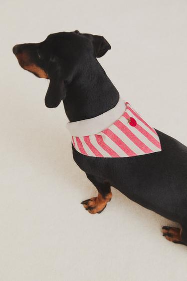 STRIPED TOMATO PET BANDANA – Piros a ZARA-tól