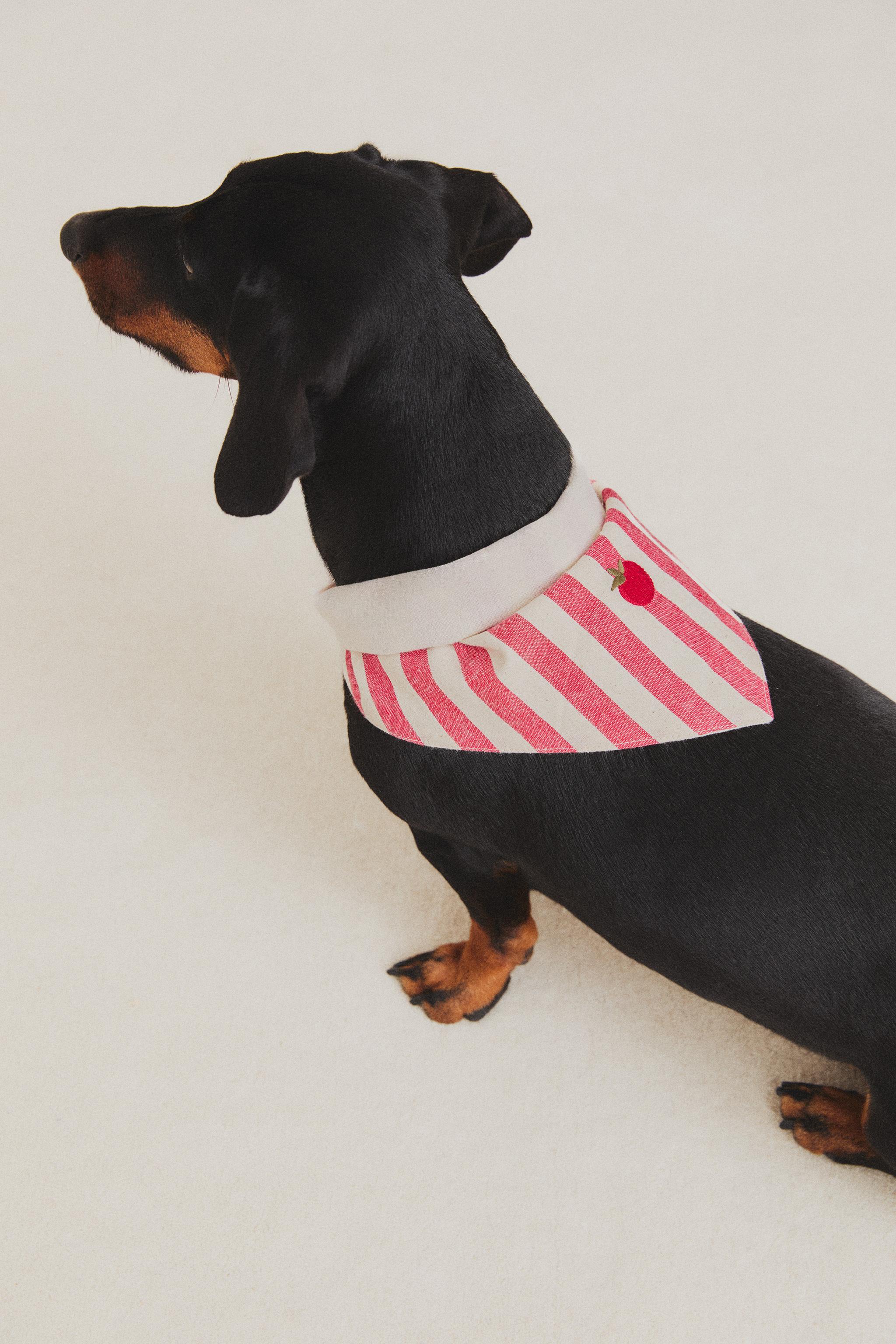 BANDANA RAYÉE TOMATE POUR ANIMAUX