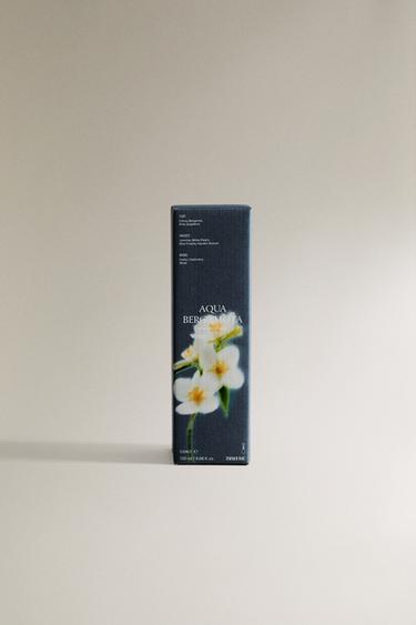 (120 ML) DIFFUSEUR EN STICKS AQUA BERGAMOTA - Vert pastel de Zara - Image 4