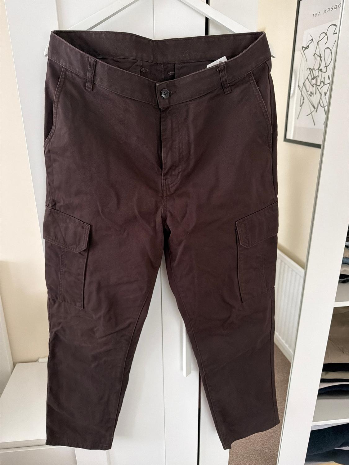 Brown cargo trousers hanging on a white hanger in front of a wardrobe. Background with light-coloured wall and abstract painting.