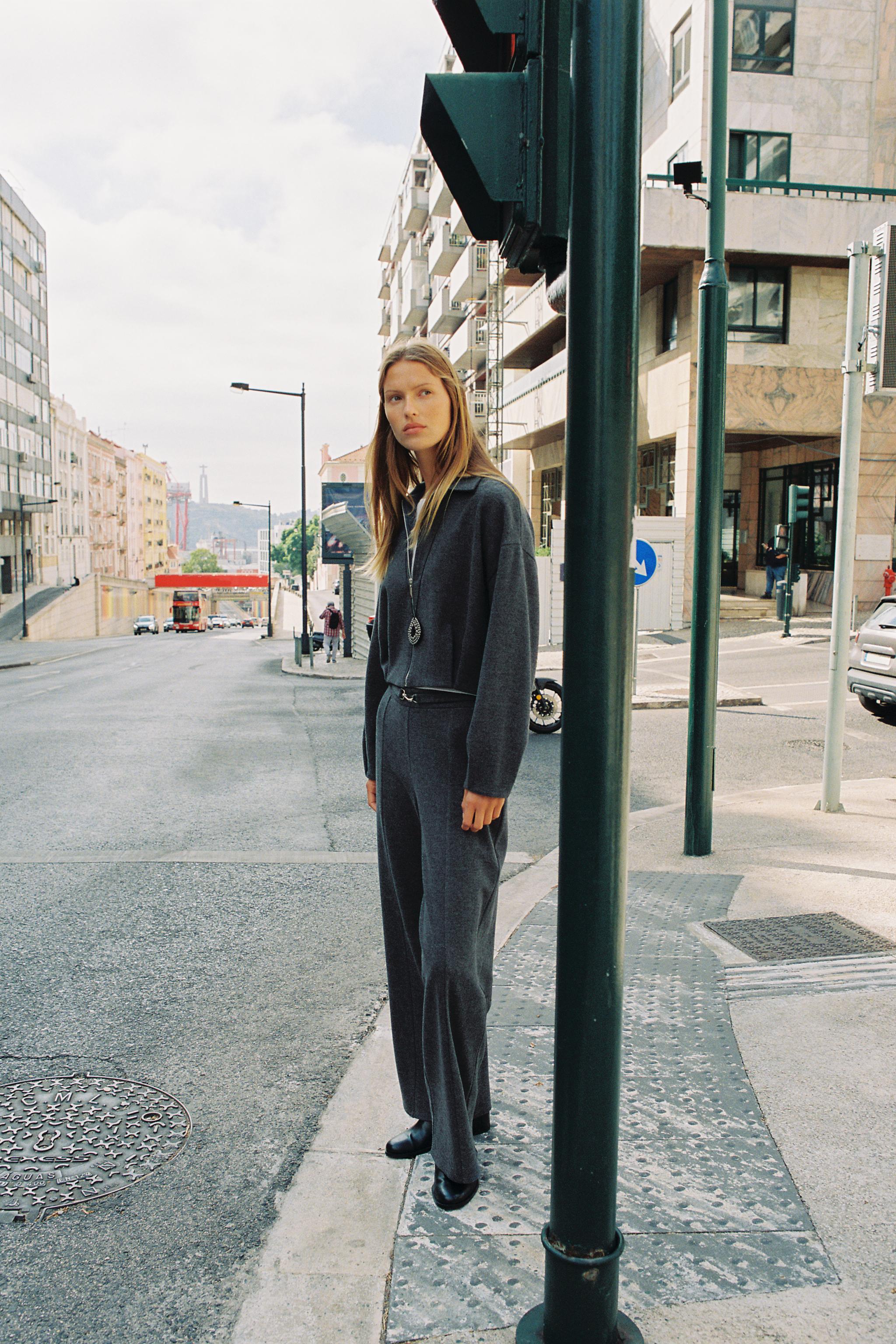 ソフトツイルパンツ - グレーマール | ZARA Japan / 日本