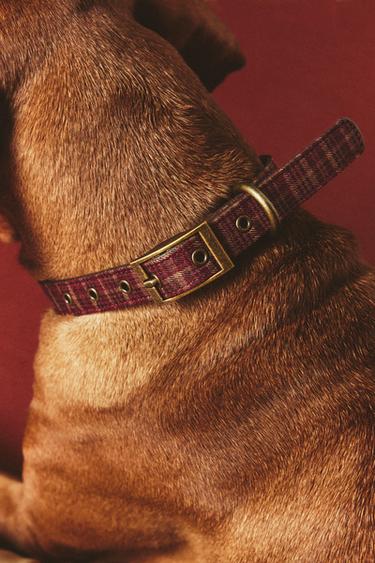 COLLIER CUIR CHIENS NOËL - Grenat de Zara