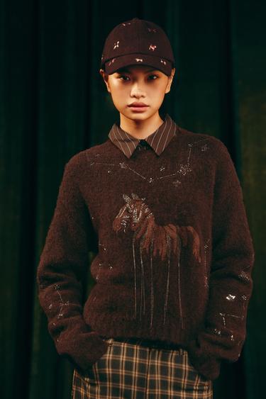 Zara 綴飾針織衫 - 棕色