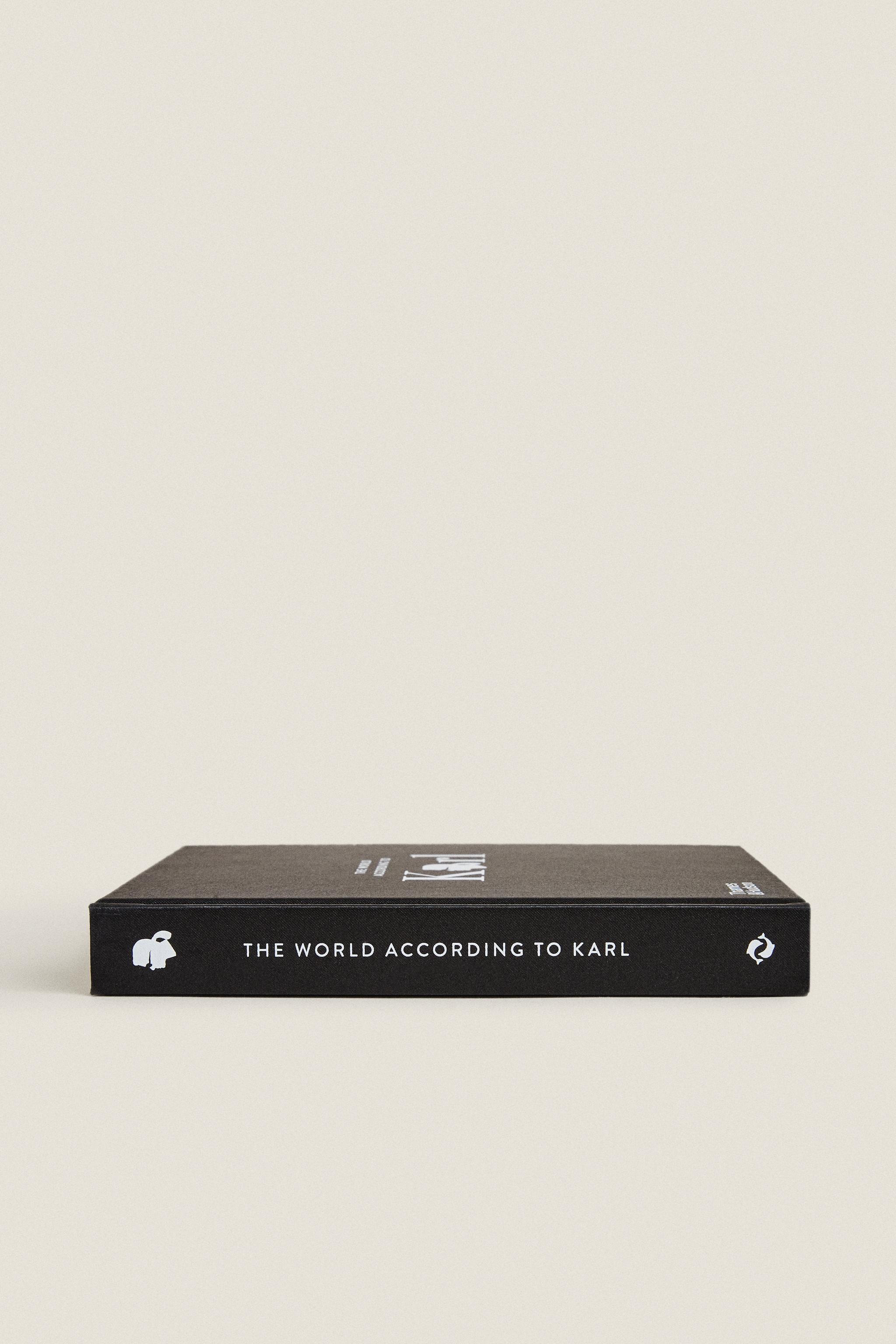 THE WORLD ACCORDING TO KARL BOOK