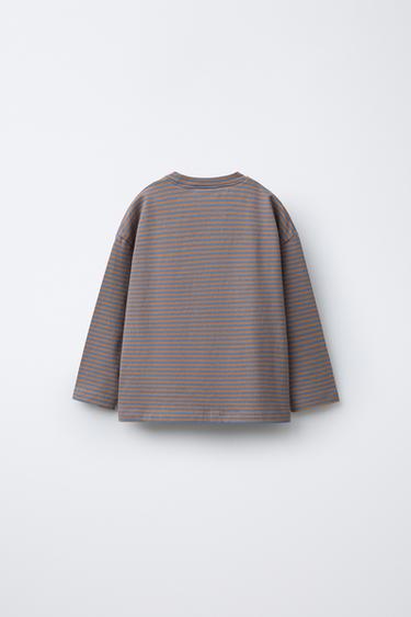 T-SHIRT IMPRIMÉ À RAYURES - Marron-Bleu de Zara - Image 1