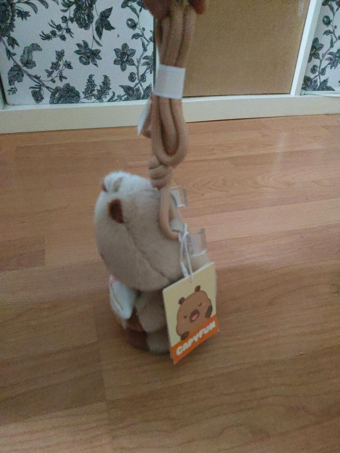 CAPYBARA CAPYFUN © MOBILE PHONE BAG - Image 4