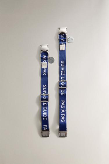 COLLIER ANIMAUX DE COMPAGNIE RUE DU BAC - Bleu de Zara - Image 0