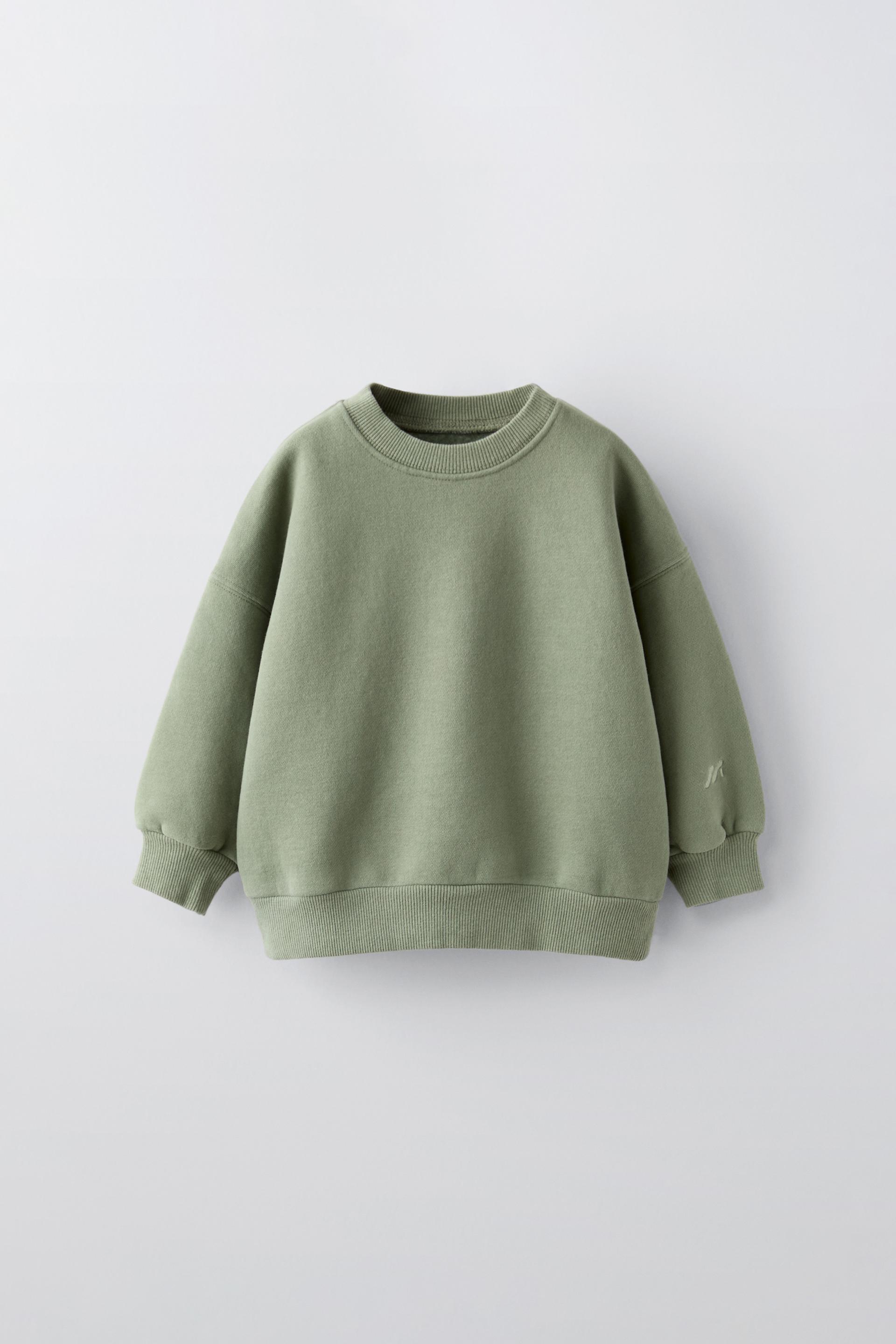 Embroidered sweater zara best sale