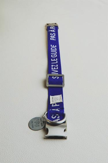 RUE DU BAC PET COLLAR - Blue by Zara - Image 5