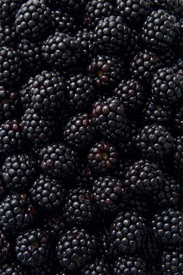 BLACKBERRY OUD PARFUM 100ML / 3.38 oz. -  by Zara - Image 1