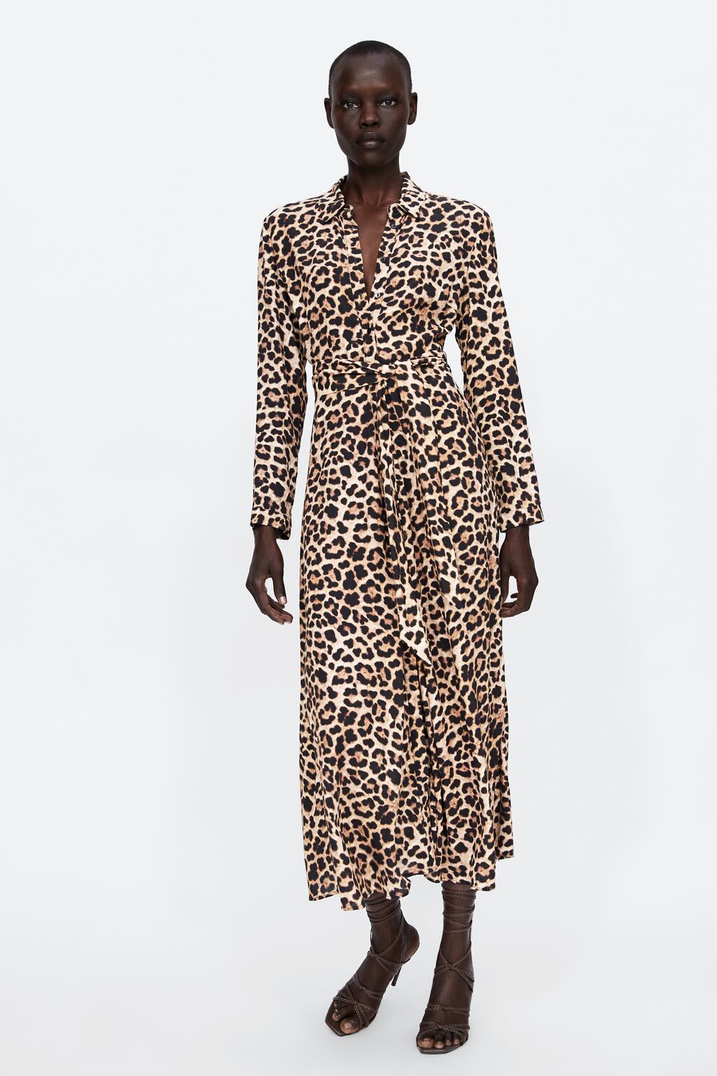 Image 1 of LONG LEOPARD PRINT DRESS from Zara